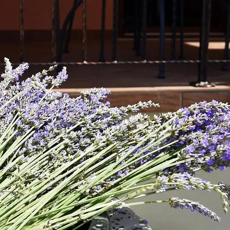 Deluxe Nono- Anex Building Πόρετς