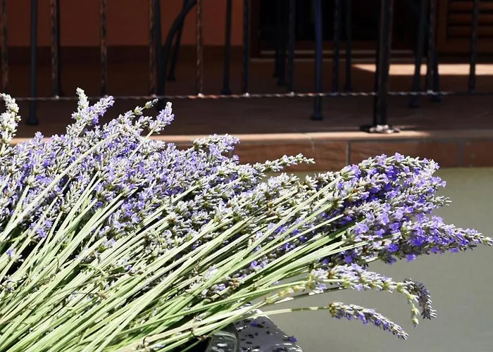 Deluxe Nono- Anex Building Porec